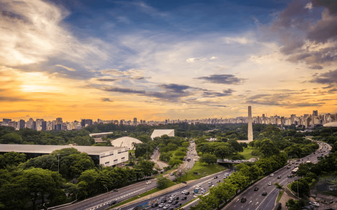 Déclaration de São Paulo sur la Santé Planétaire